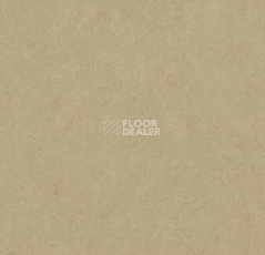 Линолеум Forbo Marmoleum Decibel on Order 389035 oat фото 1 | FLOORDEALER